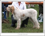 Filename=C-Vervet.jpg
Filesize=167KiB
Dimensions=868x698
Date added=Aug 21, 2010 C-Vervet.jpg