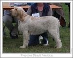 Filename=F-BlondeAmbition.jpg
Filesize=145KiB
Dimensions=868x698
Date added=Aug 21, 2010 F-BlondeAmbition.jpg