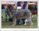 Filename=F-IMNoAngel.jpg
Filesize=180KiB
Dimensions=868x698
Date added=Aug 21, 2010 F-IMNoAngel.jpg