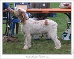 I-Fiorenzo.jpg