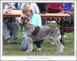 M-Valtellina.jpg