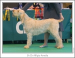 Filename=A-Amelia.jpg
Filesize=150KiB
Dimensions=867x672
Date added=Aug 18, 2010 A-Amelia.jpg