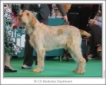Filename=B-Daydream.jpg
Filesize=176KiB
Dimensions=868x698
Date added=Aug 18, 2010 B-Daydream.jpg