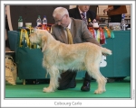 Filename=C-Carlo.jpg
Filesize=148KiB
Dimensions=868x699
Date added=Aug 18, 2010 C-Carlo.jpg