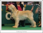 Filename=C-Corinna.jpg
Filesize=145KiB
Dimensions=867x675
Date added=Aug 18, 2010 C-Corinna.jpg