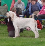Filename=B-BillyElliot.JPG
Filesize=329KiB
Dimensions=600x617
Date added=Sep 14, 2011 B-BillyElliot.JPG