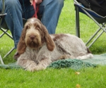 Filename=Crazy2.JPG
Filesize=316KiB
Dimensions=600x503
Date added=Sep 14, 2011 Crazy2.JPG