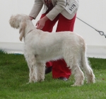 Filename=D-AmazingGrace.JPG
Filesize=302KiB
Dimensions=600x566
Date added=Sep 14, 2011 D-AmazingGrace.JPG
