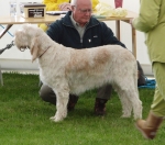 Filename=H-Bonnaire.JPG
Filesize=306KiB
Dimensions=600x528
Date added=Sep 14, 2011 H-Bonnaire.JPG