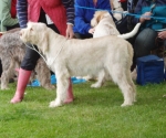 Filename=H-SparklingPink.JPG
Filesize=305KiB
Dimensions=600x503
Date added=Sep 14, 2011 H-SparklingPink.JPG