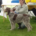 M-Valtellina.JPG