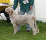 Filename=S-Delius.JPG
Filesize=299KiB
Dimensions=600x530
Date added=Sep 14, 2011 S-Delius.JPG