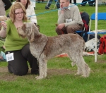 Filename=T-JigsawPuzzle.JPG
Filesize=344KiB
Dimensions=600x530
Date added=Sep 14, 2011 T-JigsawPuzzle.JPG