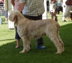 Filename=B-EdwardGRobinson.JPG
Filesize=173KiB
Dimensions=600x520
Date added=Aug 18, 2010 B-EdwardGRobinson.JPG