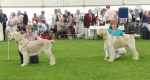 Filename=Bob challenge.JPG
Filesize=343KiB
Dimensions=1119x600
Date added=Aug 18, 2010 Bob challenge.JPG