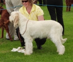 Filename=H-YorkshireWarrior.JPG
Filesize=161KiB
Dimensions=600x511
Date added=Aug 18, 2010 H-YorkshireWarrior.JPG
