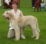 Dateiname=L-Glenglassaugh.JPG
Dateigröße=184KB
Abmessungen: 600x573
hinzugefügt am: 18. August 2010 L-Glenglassaugh.JPG