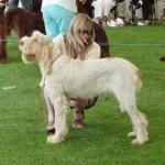 Dateiname=M-EvaSoPeachy.JPG
Dateigröße=212KB
Abmessungen: 600x600
hinzugefügt am: 18. August 2010 M-EvaSoPeachy.JPG