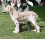 Filename=R-Schillaci.JPG
Filesize=197KiB
Dimensions=600x520
Date added=Aug 18, 2010 R-Schillaci.JPG