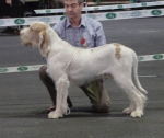 Filename=H-KirRoyale.JPG
Filesize=248KiB
Dimensions=600x505
Date added=Sep 14, 2011 H-KirRoyale.JPG