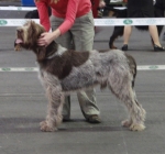 Filename=H-MrGrimsdale.JPG
Filesize=264KiB
Dimensions=600x562
Date added=Sep 14, 2011 H-MrGrimsdale.JPG