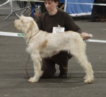 Filename=J-SweetLittleMystery.JPG
Filesize=272KiB
Dimensions=600x549
Date added=Sep 14, 2011 J-SweetLittleMystery.JPG