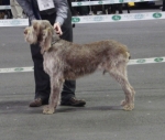 Filename=S-Primrose.JPG
Filesize=238KiB
Dimensions=600x511
Date added=Sep 14, 2011 S-Primrose.JPG