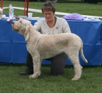 Filename=B-AtomicKitten.JPG
Filesize=322KiB
Dimensions=600x547
Date added=Sep 14, 2011 B-AtomicKitten.JPG