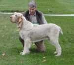 Filename=B-LikelyLad.JPG
Filesize=350KiB
Dimensions=600x530
Date added=Sep 14, 2011 B-LikelyLad.JPG