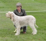 Filename=B-LoveInAMist.JPG
Filesize=340KiB
Dimensions=600x539
Date added=Sep 14, 2011 B-LoveInAMist.JPG