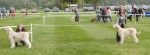 Filename=BOB Challenge.JPG
Filesize=974KiB
Dimensions=1631x600
Date added=Sep 14, 2011 BOB Challenge.JPG