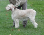 Filename=C-Carlo.JPG
Filesize=319KiB
Dimensions=600x476
Date added=Sep 14, 2011 C-Carlo.JPG