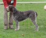 Filename=H-BetteDavisEyes.JPG
Filesize=332KiB
Dimensions=600x500
Date added=Sep 14, 2011 H-BetteDavisEyes.JPG
