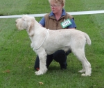 Filename=K-Caswyn.JPG
Filesize=324KiB
Dimensions=600x511
Date added=Sep 14, 2011 K-Caswyn.JPG