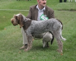 Filename=L-Niamh.JPG
Filesize=324KiB
Dimensions=600x482
Date added=Sep 14, 2011 L-Niamh.JPG