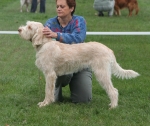 Filename=M-SavannaPeach.JPG
Filesize=326KiB
Dimensions=600x506
Date added=Sep 14, 2011 M-SavannaPeach.JPG