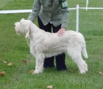 Filename=N-GotToBeThere.JPG
Filesize=315KiB
Dimensions=600x518
Date added=Sep 14, 2011 N-GotToBeThere.JPG