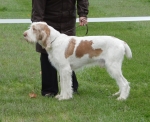 Filename=R-Luciano.JPG
Filesize=313KiB
Dimensions=600x491
Date added=Sep 14, 2011 R-Luciano.JPG