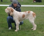 Unknown2.JPG