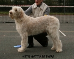 Filename=N-GotToBeThere.jpg
Filesize=86KiB
Dimensions=715x574
Date added=Aug 18, 2010 N-GotToBeThere.jpg
