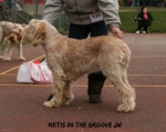 Filename=Netis-InTheGroove.jpg
Filesize=90KiB
Dimensions=715x571
Date added=Aug 18, 2010 Netis-InTheGroove.jpg