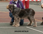 Filename=S-Natalia.jpg
Filesize=110KiB
Dimensions=715x571
Date added=Aug 18, 2010 S-Natalia.jpg