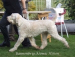 Filename=B-AtomicKitten.jpg
Filesize=54KiB
Dimensions=600x461
Date added=Aug 18, 2010 B-AtomicKitten.jpg