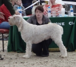 Filename=A-Amelia.JPG
Filesize=293KiB
Dimensions=600x531
Date added=Sep 14, 2011 A-Amelia.JPG