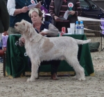 Filename=B-Bartolomeo.JPG
Filesize=320KiB
Dimensions=600x567
Date added=Sep 14, 2011 B-Bartolomeo.JPG