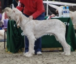 Filename=B-BillyElliot.JPG
Filesize=296KiB
Dimensions=600x510
Date added=Sep 14, 2011 B-BillyElliot.JPG