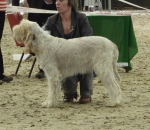 Filename=B-LoveInAMist.JPG
Filesize=300KiB
Dimensions=600x521
Date added=Sep 14, 2011 B-LoveInAMist.JPG