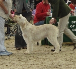 Filename=G-MagicsGaietyGirl.JPG
Filesize=311KiB
Dimensions=600x549
Date added=Sep 14, 2011 G-MagicsGaietyGirl.JPG