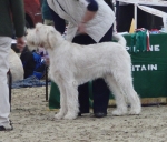 Filename=N-GotToBeThere.JPG
Filesize=277KiB
Dimensions=600x514
Date added=Sep 14, 2011 N-GotToBeThere.JPG