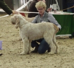 T-Balena.JPG